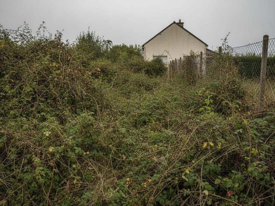 Terrain envahi de ronces et broussailles ligneuses à Vertou avant débroussaillage